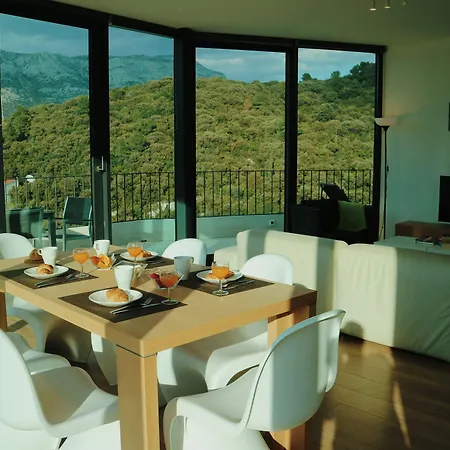 White Cloud קורצולה